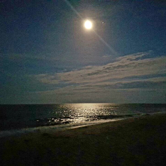 Meet your Posher, Janie - Picture 2 of 2